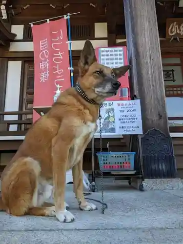 本久寺の動物