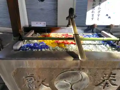 七社神社の{uncategorized: "未分類", other: "その他", undefined: "問題あり", building: "その他建物", grave: "お墓", sacred_gate: "鳥居", guardian: "狛犬", statue: "像", buddha: "仏像", history: "歴史", nature: "自然", garden: "庭園", animal: "動物", pagoda: "塔", temizu: "手水舎", mountain_gate: "山門・神門", sanctuary: "本殿・本堂", subordinate: "末社・摂社", art: "芸術", scenery: "景色", jizo: "地蔵", ema: "絵馬", goshuin: "御朱印", omikuji: "おみくじ", items: "授与品その他", amulet: "お守り", goshuincho: "御朱印帳", eats: "食事", festival: "お祭り", votive_dance: "神楽", shichigosan: "七五三参", wedding: "結婚式", experience: "体験その他", initially: "初詣", around: "周辺", anti_infection: "感染症対策"}