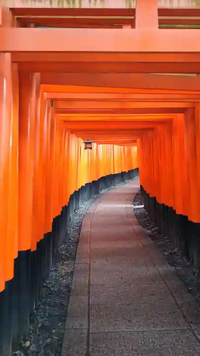 伏見稲荷大社の鳥居