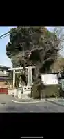 岩槻久伊豆神社(埼玉県)