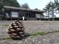 福井神社(福井県)