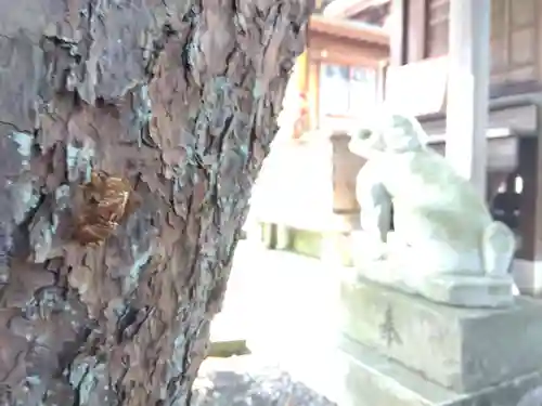 杉杜白髭神社(福井県)