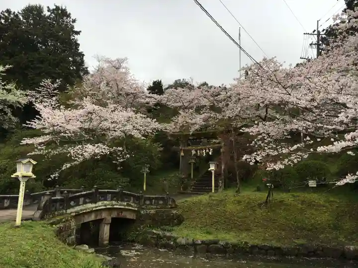 武雄神社(佐賀県)