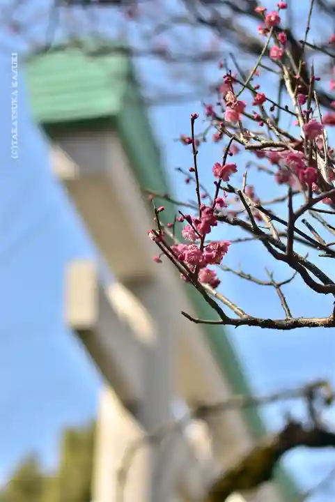 出雲大社相模分祠(神奈川県)