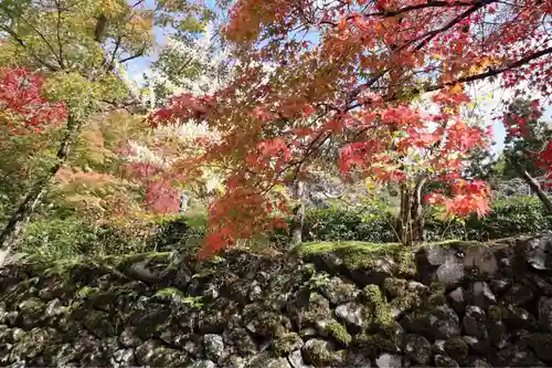 神峯山寺(大阪府)