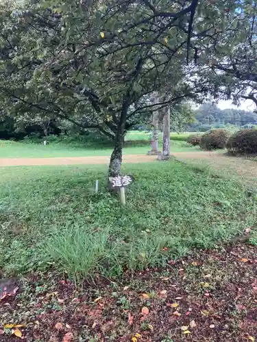 神武神社(栃木県)