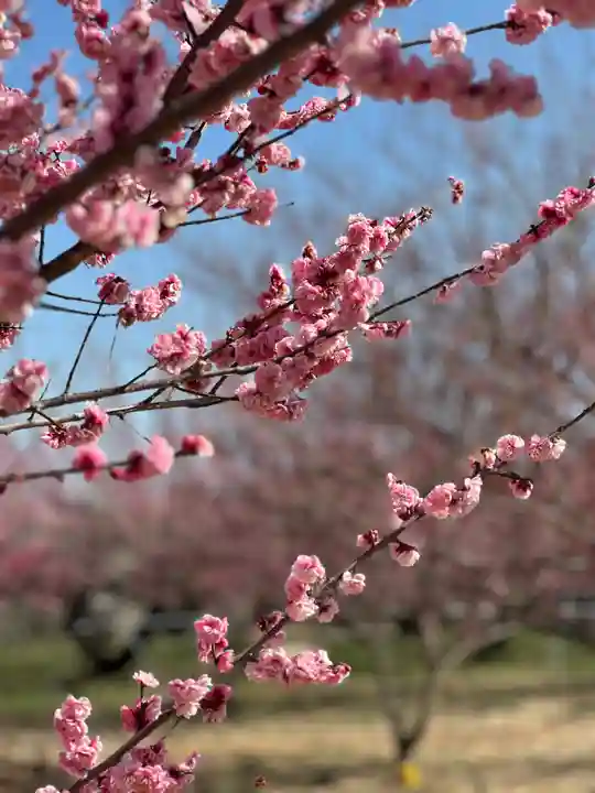 群馬県護国神社(群馬県)