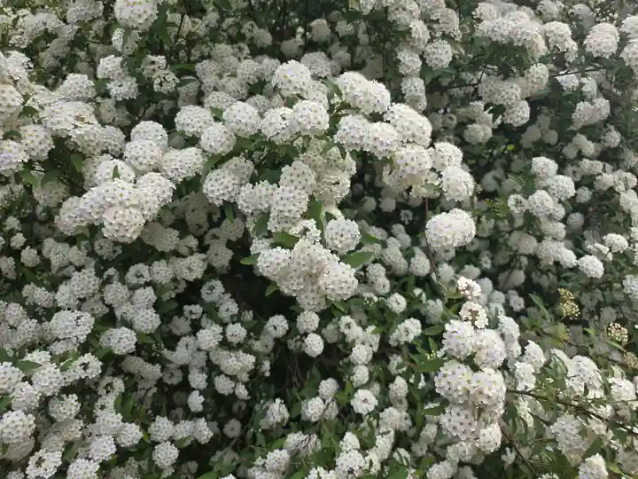 八角堂(京都府)