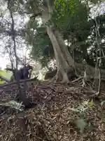 神社(名称不明)(千葉県)