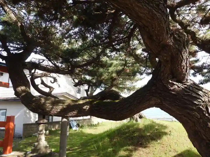 洗磯崎神社(青森県)