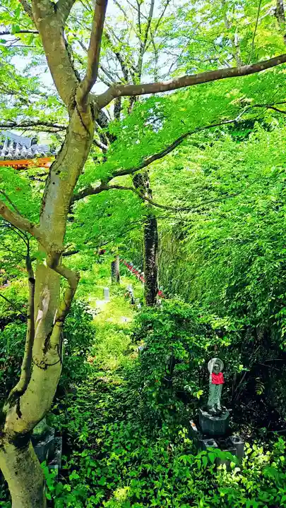 南法華寺(壷阪寺)(奈良県)