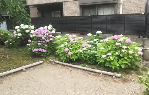 日吉八王子神社の自然