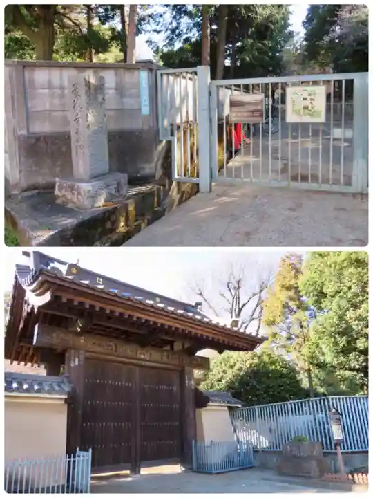 豪徳寺の山門・神門