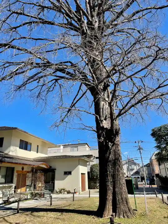 常圓寺(東京都)