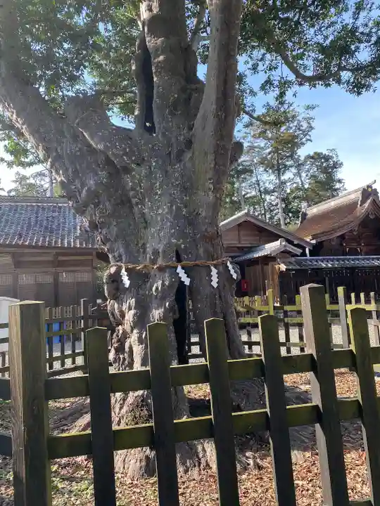 天宮神社(静岡県)