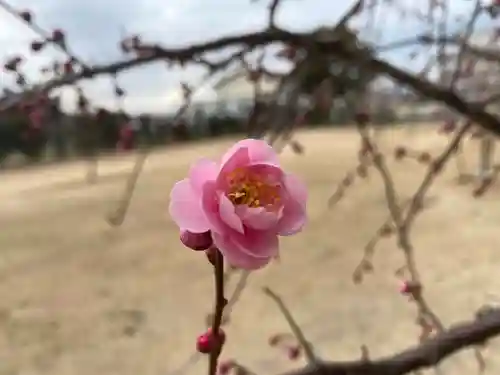 美奈宜神社(福岡県)