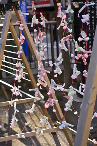 柏神社のおみくじ