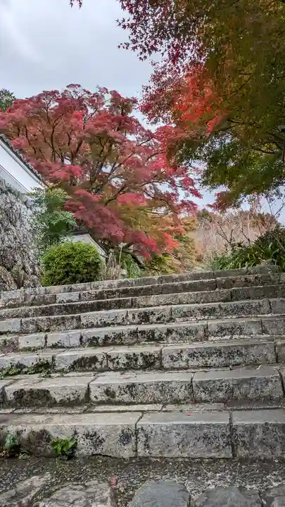 善峯寺(京都府)