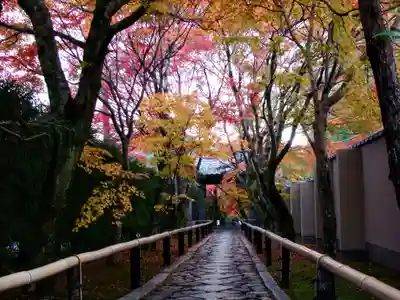 光悦寺(京都府)