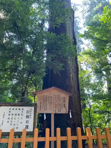 高千穂神社(宮崎県)