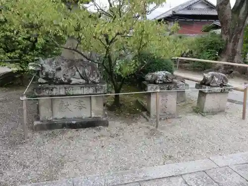 菅原天満宮（菅原神社）の狛犬