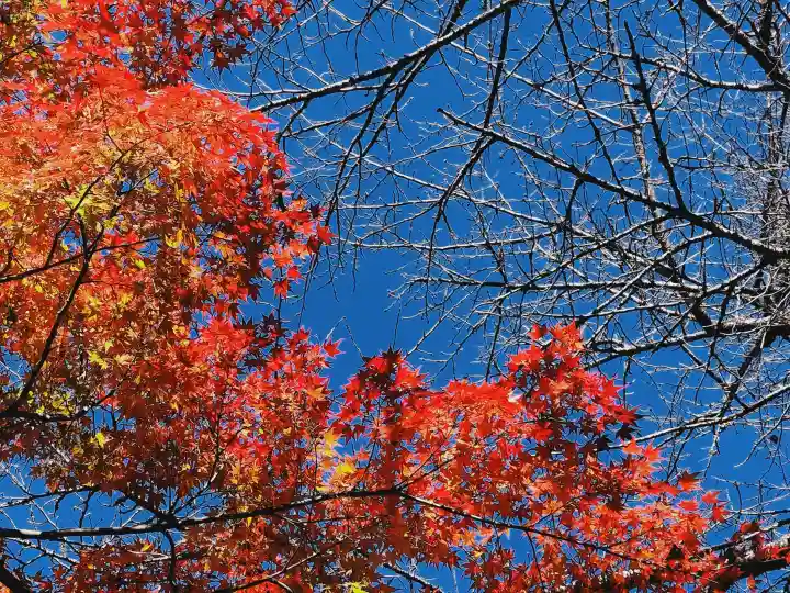 霊山寺の{uncategorized: "未分類", other: "その他", undefined: "問題あり", building: "その他建物", grave: "お墓", sacred_gate: "鳥居", guardian: "狛犬", statue: "像", buddha: "仏像", history: "歴史", nature: "自然", garden: "庭園", animal: "動物", pagoda: "塔", temizu: "手水舎", mountain_gate: "山門・神門", sanctuary: "本殿・本堂", subordinate: "末社・摂社", art: "芸術", scenery: "景色", jizo: "地蔵", ema: "絵馬", goshuin: "御朱印", omikuji: "おみくじ", items: "授与品その他", amulet: "お守り", goshuincho: "御朱印帳", eats: "食事", festival: "お祭り", votive_dance: "神楽", shichigosan: "七五三参", wedding: "結婚式", experience: "体験その他", initially: "初詣", around: "周辺", anti_infection: "感染症対策"}