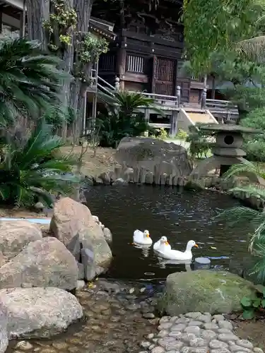 楽法寺（雨引観音）(茨城県)