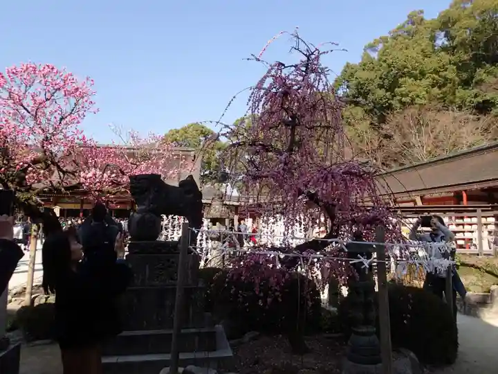 太宰府天満宮のその他建物