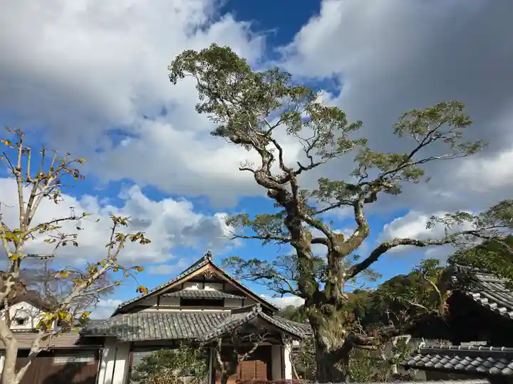 吉祥院(大阪府)