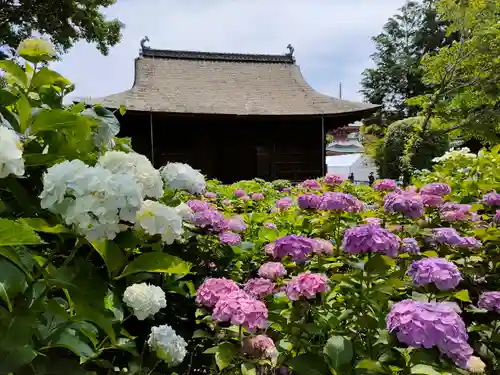 性海寺の本殿・本堂