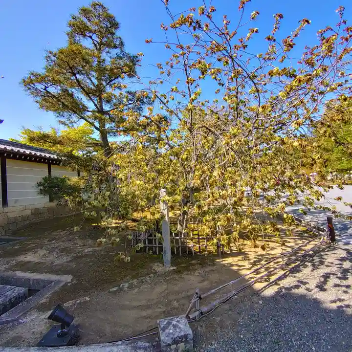 仁和寺(京都府)