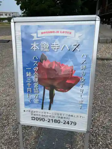 雲龍山 本證寺のその他建物