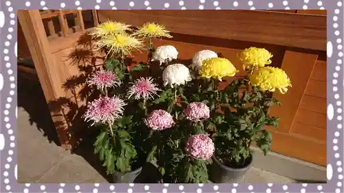 於菊稲荷神社(群馬県)