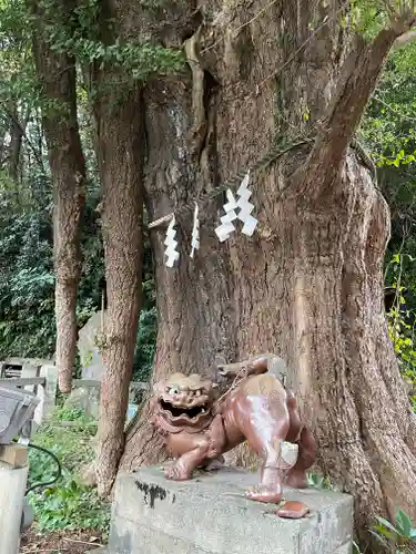 海南神社の狛犬