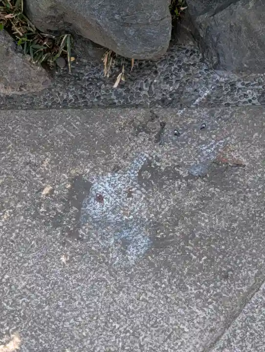 櫻木神社の{uncategorized: "未分類", other: "その他", undefined: "問題あり", building: "その他建物", grave: "お墓", sacred_gate: "鳥居", guardian: "狛犬", statue: "像", buddha: "仏像", history: "歴史", nature: "自然", garden: "庭園", animal: "動物", pagoda: "塔", temizu: "手水舎", mountain_gate: "山門・神門", sanctuary: "本殿・本堂", subordinate: "末社・摂社", art: "芸術", scenery: "景色", jizo: "地蔵", ema: "絵馬", goshuin: "御朱印", omikuji: "おみくじ", items: "授与品その他", amulet: "お守り", goshuincho: "御朱印帳", eats: "食事", festival: "お祭り", votive_dance: "神楽", shichigosan: "七五三参", wedding: "結婚式", experience: "体験その他", initially: "初詣", around: "周辺", anti_infection: "感染症対策"}