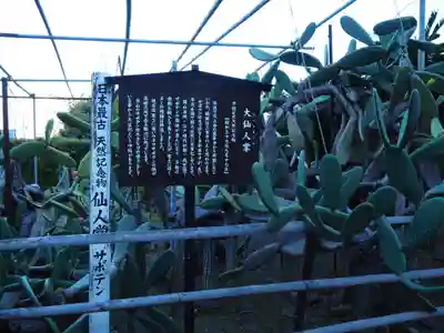 龍華寺のその他建物