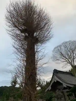 松岩寺(茨城県)