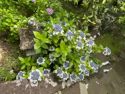 西山神社(長崎県)