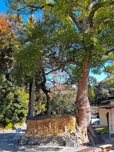 府八幡宮(静岡県)