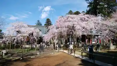 六地蔵寺の庭園