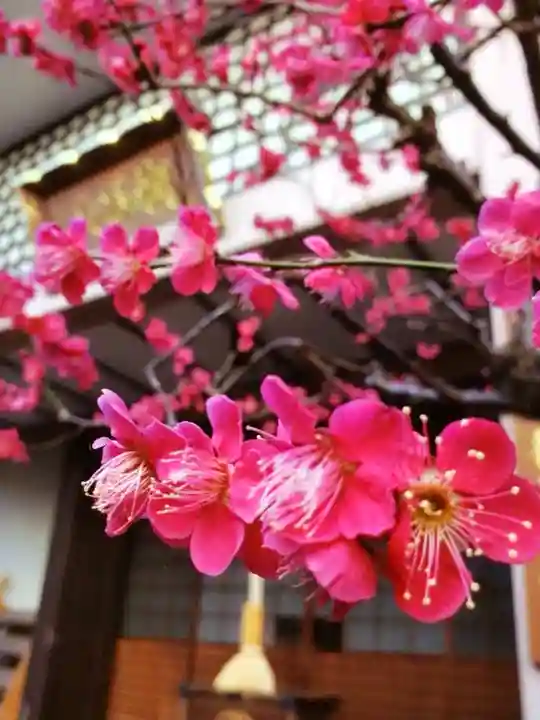 聖輪寺(東京都)