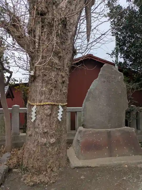 八幡大神(神奈川県)