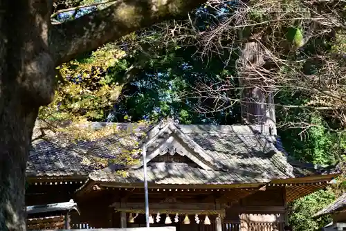 事任八幡宮(静岡県)