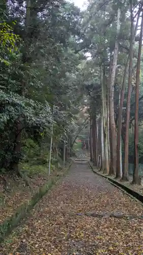 若山神社(大阪府)