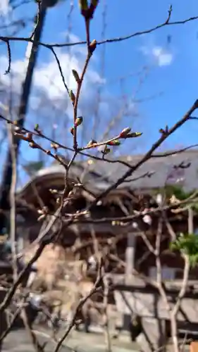 相馬神社(北海道)
