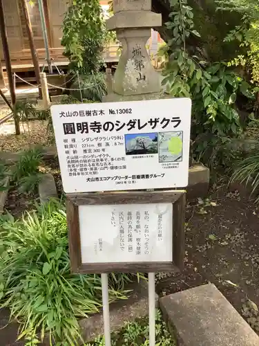 円明寺(愛知県)