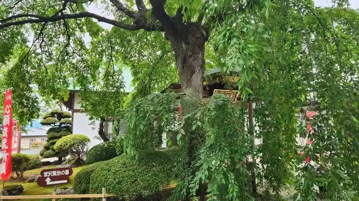 身照寺(岩手県)