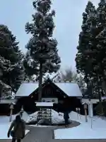 琴似神社(北海道)