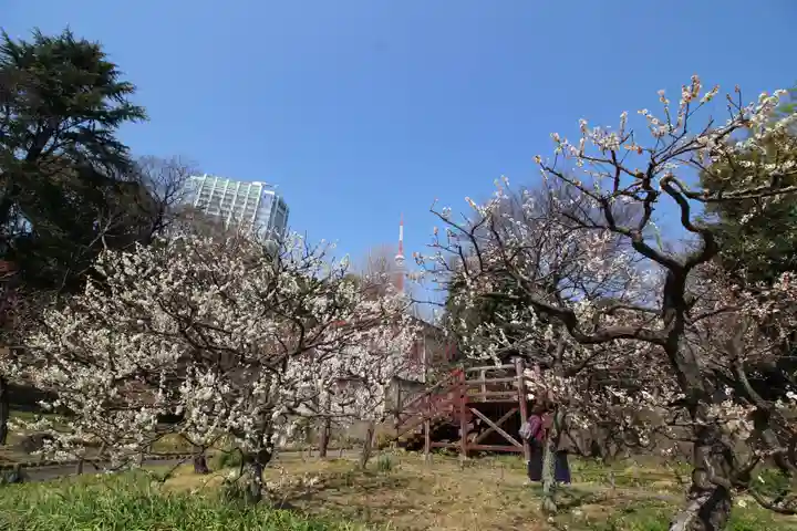 芝東照宮の自然