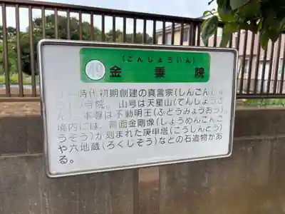 金乗院(千葉県)